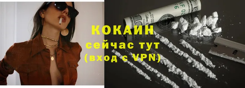 закладки  Завитинск  COCAIN FishScale 