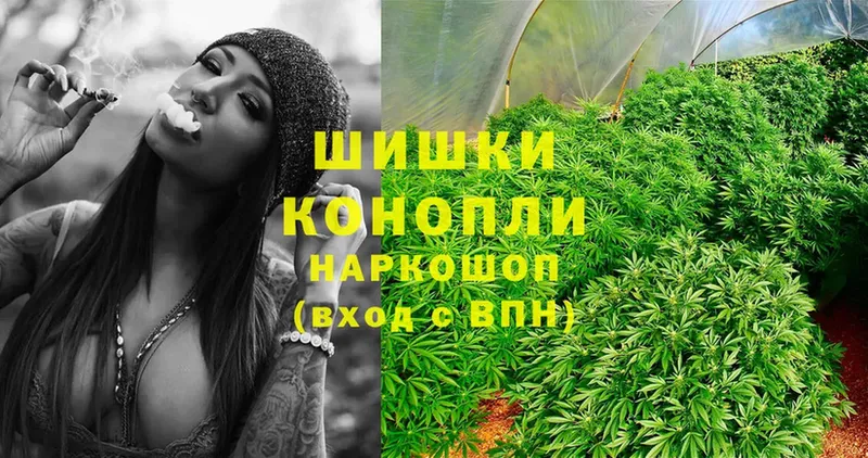 продажа наркотиков  Завитинск  Каннабис Amnesia 